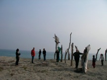 People walking among driftwood sculptures on a beach